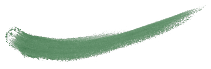 green brush isolated on transparent background
