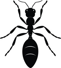 Ant Silhouette Vector Illustration