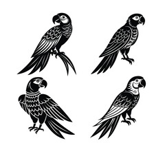 set of Macaw  vector birds