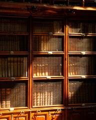 Puebla, Mexico, January 1, 2025: The Palafoxiana Library with ancient books and wooden details from the 16th century.