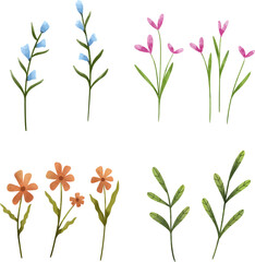 Watercolor flower (1).eps