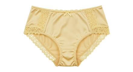 Isolated Beige Lace Panties
