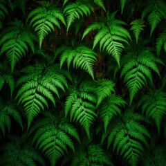 A background fully packed with fern leaves of various sizes in deep green hues 3