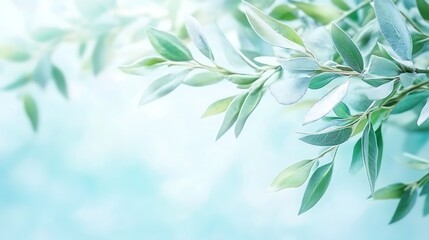 Obraz premium Green leaves and a soft blue background create a serene composition