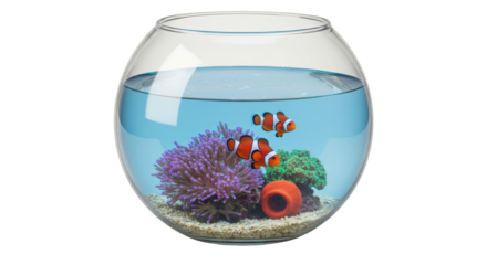 Isolated Aquarium with Clownfish