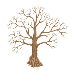 Obraz premium vector drawing ceiba, kapok tree without foliage isolated at white background, hand drawn illustration