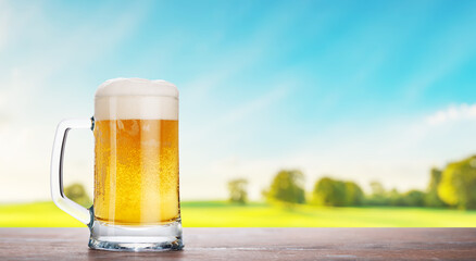 A glass of beer with a golden hue and frothy head