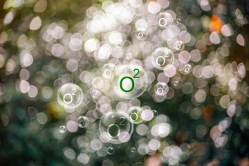 O2 bubbles in the middle of a lush forest are a metaphor for the purifying processes of air through nature. plants absorb carbon dioxide and release oxygen into the air. oxygen release concept