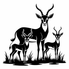 vector illustration of a deer