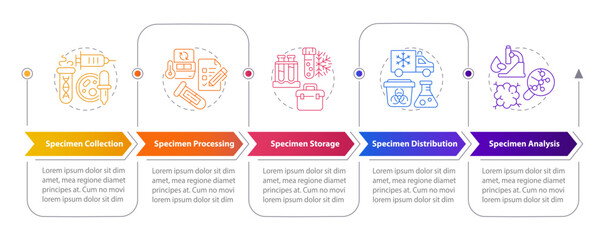 Specimen lifecycle rectangular infographics. Laboratory experiments with bio samples. Visualization template 5 options. Horizontal flowchart with line icons. Myriad Pro-Bold, Regular fonts used