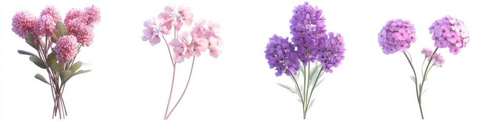 Assorted Pastel Flowers Isolated on White Background