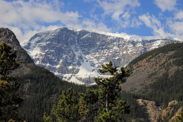 Obraz premium Forested mountainside leads up to vertical rock faces with varied color in Banff National Park, Canada