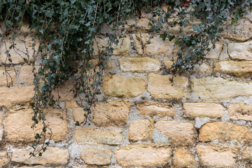 Rough texture of very old weathered stone brick wall with traces of time and ivy on surface. Texture background for design. Mason craft