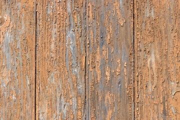 Brown crackled- chipping paint wooden wall outside, weathered and peeled by time background, peeling beige paint backdrop, wood planks texture boards