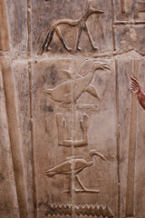 Wall inscriptions in hieroglyphics showing the title and name of the owner of the tomb - Kagemni, a vizier from the Old Kingdom
