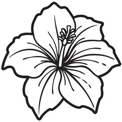 hibiscus black line art, hibiscus flower line art vector illustration on white background, hibiscus flower EPS