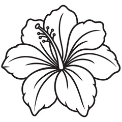 hibiscus black line art, hibiscus flower line art vector illustration on white background, hibiscus flower EPS