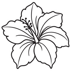 hibiscus black line art, hibiscus flower line art vector illustration on white background, hibiscus flower EPS