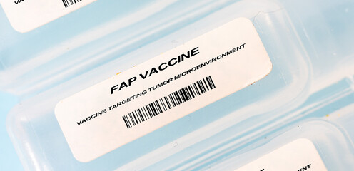 FAP Vaccine