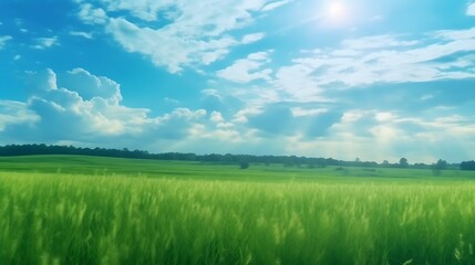 Fototapeta premium Serene Green Field Under a Bright Sunny Sky