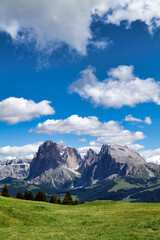 Seiser Alm (Alpe di Siusi). Valgardena Italy. Panorama view with the Sassolungo mountain peak