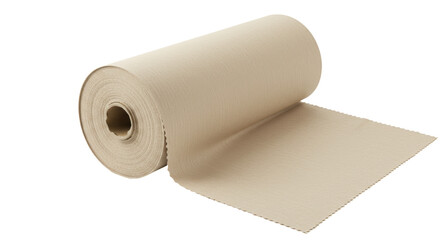 Isolated Roll of Paper Towels