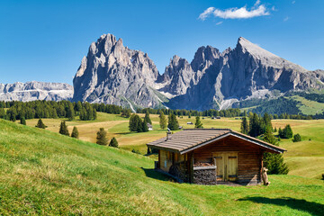 Seiser Alm (Alpe di Siusi). Valgardena Italy. Panorama view with the Sassolungo mountain peak