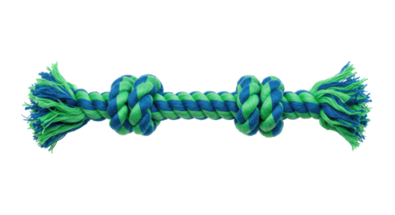 Isolated Dog Toy