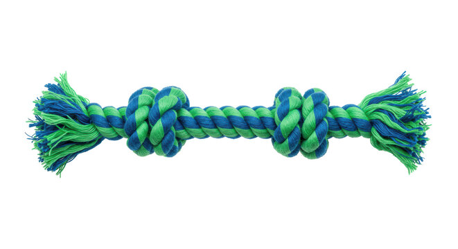 Isolated Dog Toy