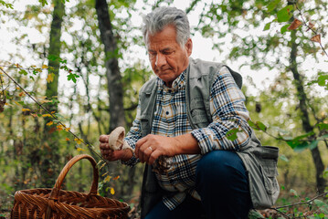 Senior mycologist examining wild mushroom in forest