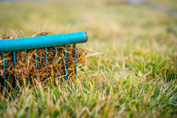 Rake with dry grass from the lawn close-up. Cleaning the grass after winter. Lawn care in the spring