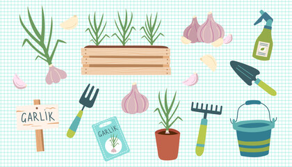 Garlic gardening cliparts isolated on checkered background. Garlic vegetable. Gardening concept. Garlik and equipment for planting vegetables. Vector hand drawn illustration.