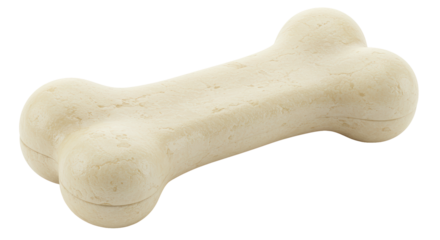 Isolated Dog Bone Toy