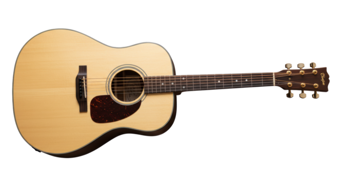 Isolated Acoustic Guitar