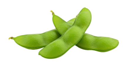 Isolated Green Soybeans Pods