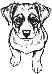 Cute puppy. Hand drawn vector illustration