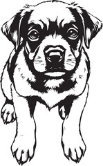 Cute puppy. Hand drawn vector illustration
