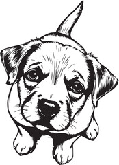 Cute puppy. Hand drawn vector illustration