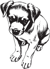 Cute puppy. Hand drawn vector illustration
