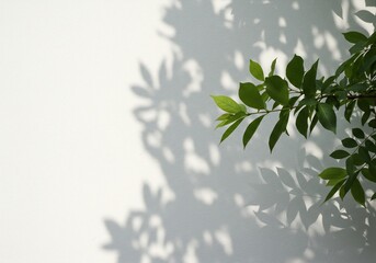 Green leaves cast dappled shadows on a bright white wall creating a serene summer scene.. AI Generated