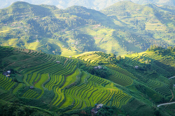 Rice Paddies on Steep Hills - Ha Giang Loop, Vietnam  