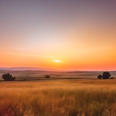 Fototapeta premium Golden Wheat Field Sunset Landscape Scenic View
