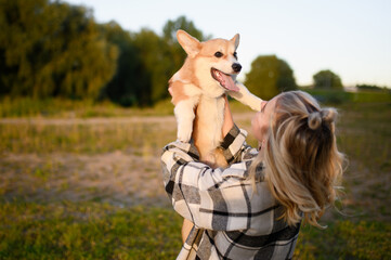 Owner holds beloved Welsh Corgi in arms, lifts it above her, hugs it during walk in park on sunny...