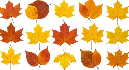 Obraz premium Autumn's Palette AI Generated