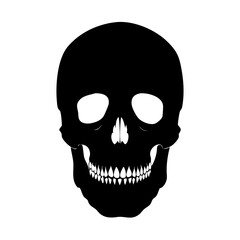  Human Skull Icon Vector Illustration. Horror Skeleton Silhouette