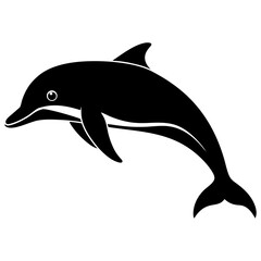 Fototapeta premium dolphin isolated on white