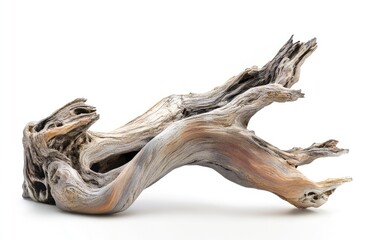 Driftwood piece against white background