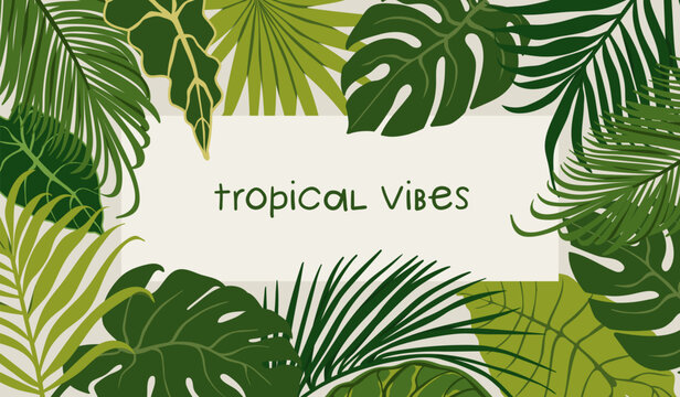 Tropical jungle leaves, green framed background. Leaf plants, nature, organic leafy foliage decoration, modern botanical banner. Lush greenery, exotic floral backdrop. Flat vector illustration