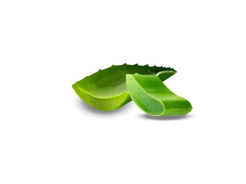 aloe vera or aloe fresh cut leaf isolated on white background