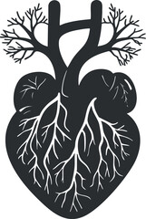 Black and white anatomical illustration of a human heart with detailed veins and arteries.
